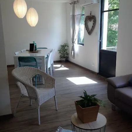 Au Vieux Lavoir Appartement Carcassonne