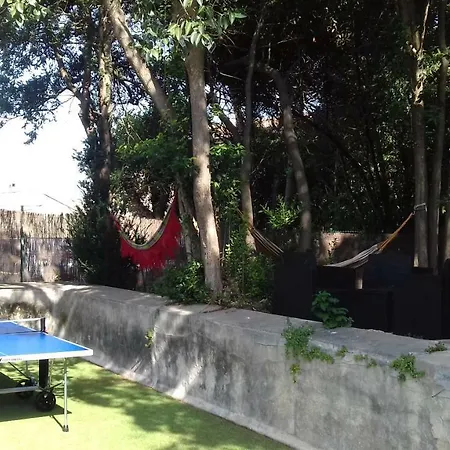 Appartement Au Vieux Lavoir Carcassonne